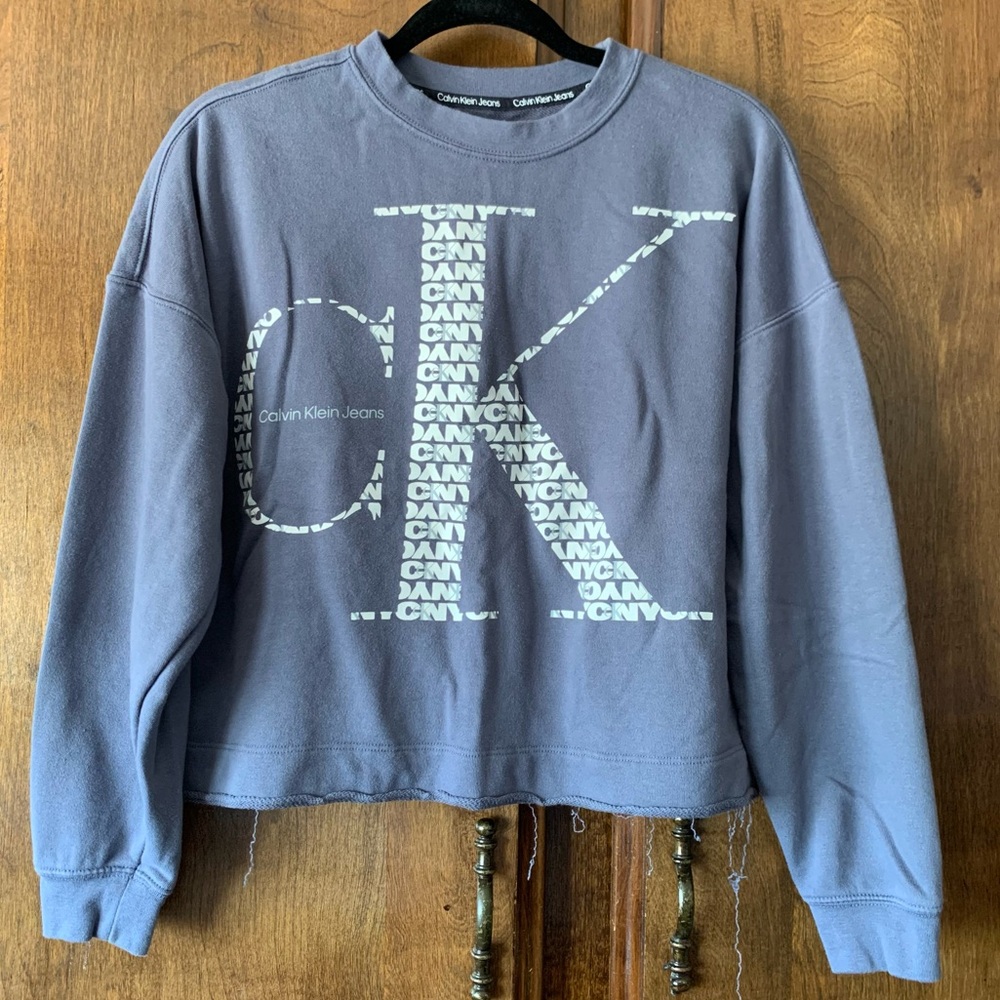 Calvin Klein Jeans Women's Blue Logo Sweatshirt